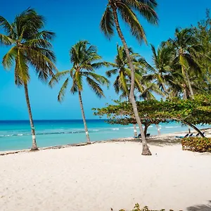 Coconut Court Beach Christ Church